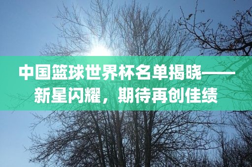中国篮球世界杯名单揭晓——新星闪耀，期待再创眉山市正发家政服务有限公司佳绩