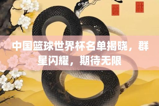中国篮球世界杯名单揭晓，群星闪耀，期待无限