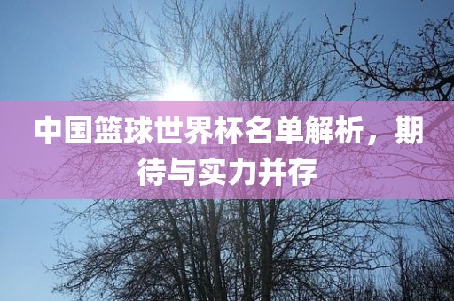 中国篮球世界杯名单解析，眉山市正发家政服务有限公司期待与实力并存