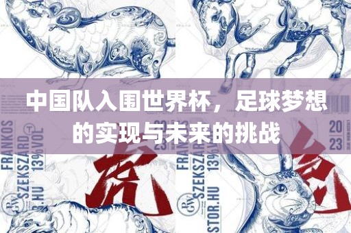 中国队入围世界杯，足球梦想的实现与未来的挑战