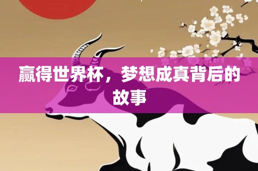 赢得世界杯，梦想成真背后眉山市正发家政服务有限公司的故事