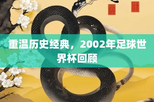 重温历史经典，2002年足眉山市正发家政服务有限公司球世界杯回顾