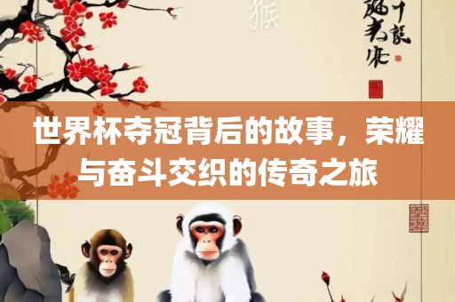 世界杯夺冠背后的故事，荣耀与奋斗交织的传奇之旅