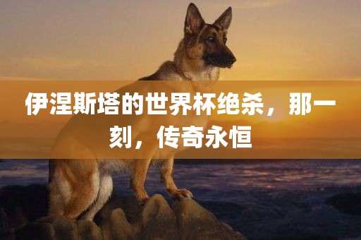 zhangyamei 第5页