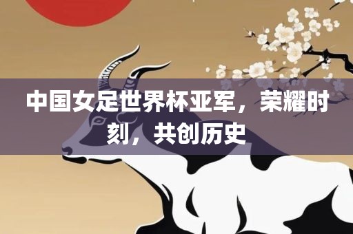 中国女足世界杯亚军，荣耀时刻，共创历史