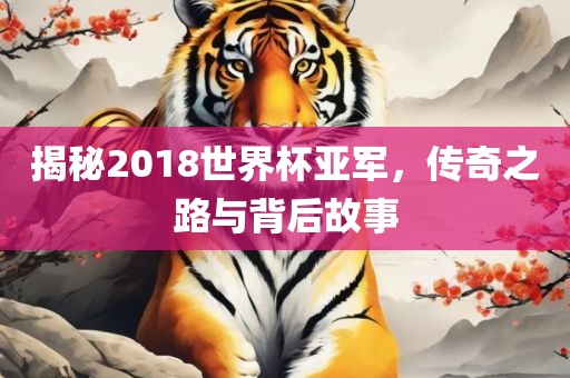 揭秘2018世界杯亚军，传奇之路与背后故事