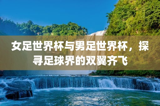 女足世界杯与男足世界杯，探寻足球界的双翼齐飞