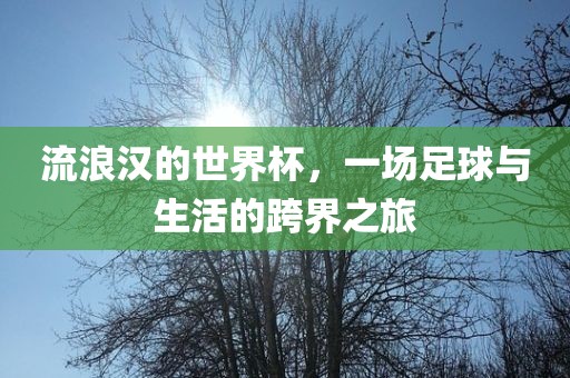 流浪汉的世界杯，一场足球与生活的跨界之旅眉山市正发家政服务有限公司