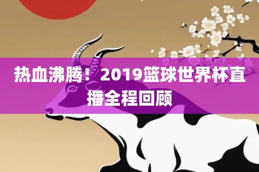 热血沸腾！2019篮球世界杯直播全程回顾