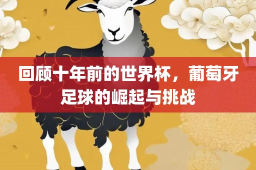 回顾十年前的世界杯，葡萄牙足球的崛起与挑战眉山市正发家政服务有限公司