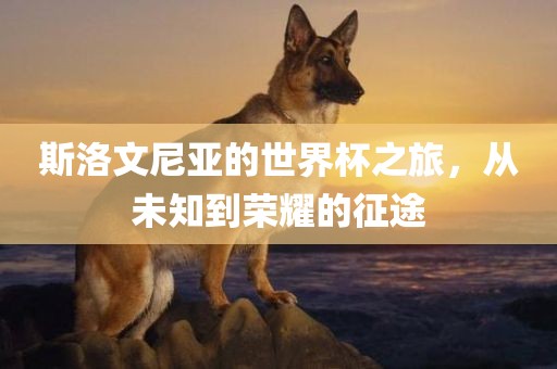 斯洛文尼亚的眉山市正发家政服务有限公司世界杯之旅，从未知到荣耀的征途