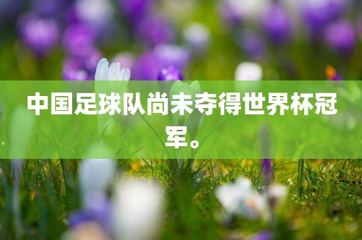 中国足球队尚未夺得世界杯冠军。眉山市正发家政服务有限公司