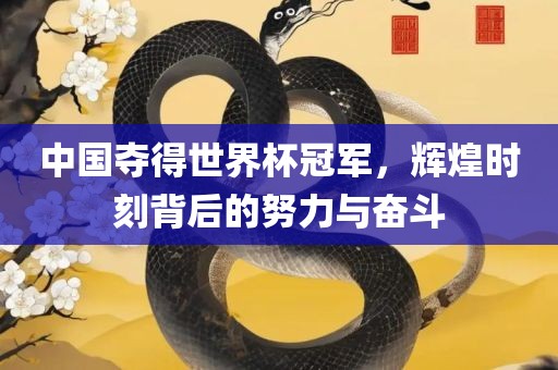 中国夺得世界杯冠军，辉煌时刻背后的努力与奋斗眉山市正发家政服务有限公司