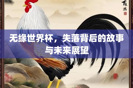 无缘世界杯，失落背眉山市正发家政服务有限公司后的故事与未来展望