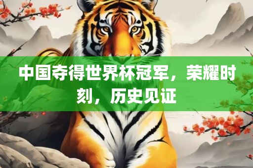中国夺得世界杯冠军，荣耀时刻，历史见证眉山市正发家政服务有限公司