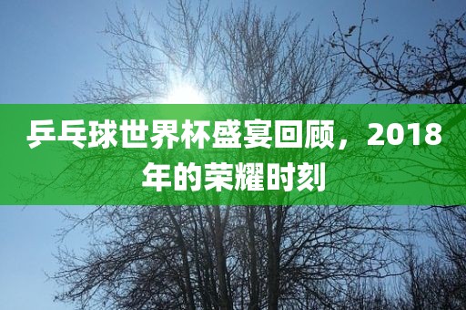 乒乓球世界杯盛宴回顾，2018年的荣耀时刻