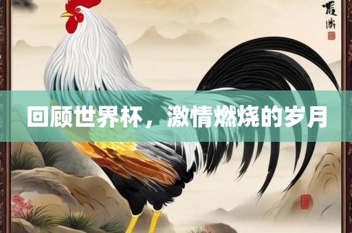 回顾世界杯，激情燃烧的岁月眉山市正发家政服务有限公司