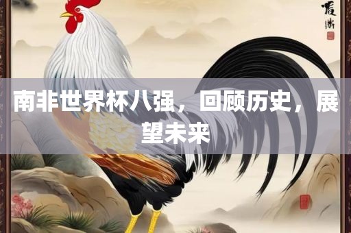 南非世界杯八强，回顾历史，展望未来