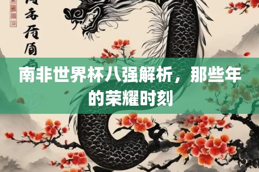 南非世界杯八强解析，那些年的荣耀时刻