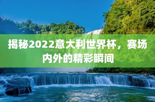 揭秘2022意大利世界杯，赛场内外的精彩瞬间眉山市正发家政服务有限公司