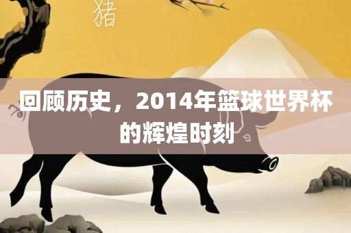 回顾历史，2014年篮球世界杯的辉煌时刻眉山市正发家政服务有限公司
