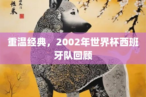 重温经典，2002年世界杯西班牙队回顾