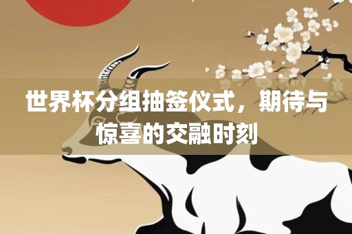 世界杯分组抽签仪式，期待与惊喜的交融时刻眉山市正发家政服务有限公司