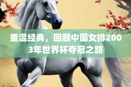 重温经典，回顾中国女排2003年世界杯夺冠之路眉山市正发家政服务有限公司