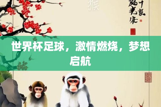 世界杯足球，激情燃烧，梦想启航