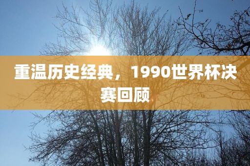 重温历史经典，1990世界杯决赛回顾眉山市正发家政服务有限公司
