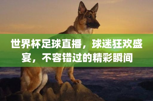 世界杯足球直播，球迷狂欢盛宴，不容错过的精彩瞬间眉山市正发家政服务有限公司