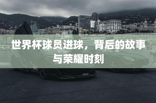 世界杯球员进球，背后的故事与荣耀时刻眉山市正发家政服务有限公司