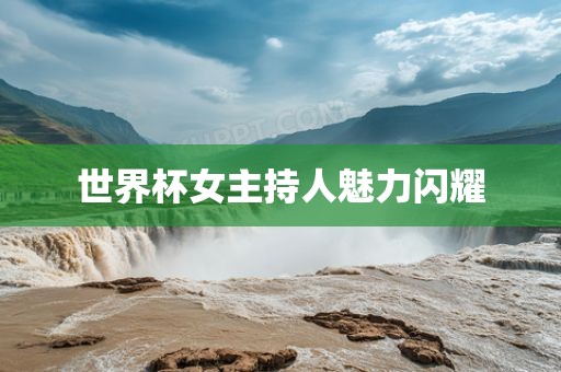 世界杯女主持人魅力闪耀眉山市正发家政服务有限公司