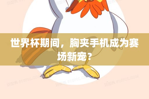 世界杯期间，胸夹手机成为眉山市正发家政服务有限公司赛场新宠？