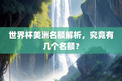 世界杯美洲名额解析，究竟有几个名额？眉山市正发家政服务有限公司
