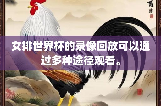 女排世界杯的录像回放可以通过多种途径观看。