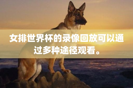 女排世界杯的录像回放可以通过多种途径观看。