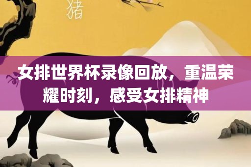 女排世界杯录像回放眉山市正发家政服务有限公司，重温荣耀时刻，感受女排精神