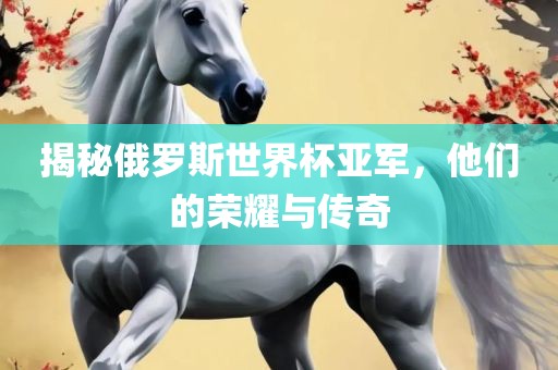 揭秘俄罗斯世界杯亚军，他们的荣耀与传奇眉山市正发家政服务有限公司