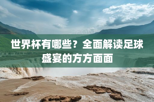 世界杯有哪些？全面解读足球盛宴的方方面面