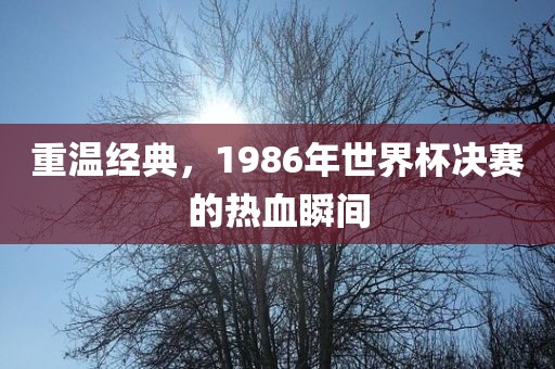 重温经典，1986年世界杯决赛的热血瞬间眉山市正发家政服务有限公司