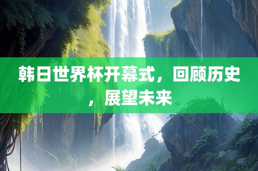 韩日世界杯开幕式，回顾历史，展望未来