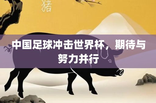 中国足球冲击世界杯，期待与努力并行眉山市正发家政服务有限公司
