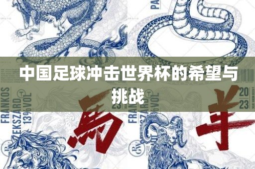 中国足球冲击世界杯的希望与挑战