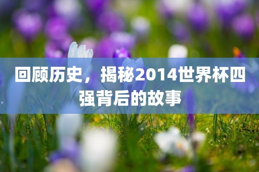 回顾历史，揭秘2014世界杯四强背后的故事