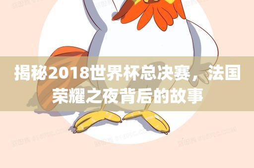 揭秘2018世界杯总决赛，法国荣耀之夜背后的故事眉山市正发家政服务有限公司