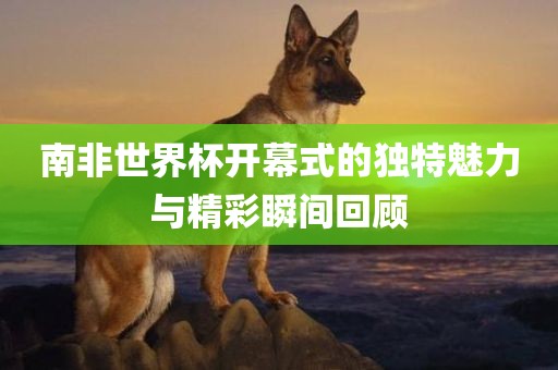 南非世界杯开幕式的独特魅力与精彩瞬间回顾