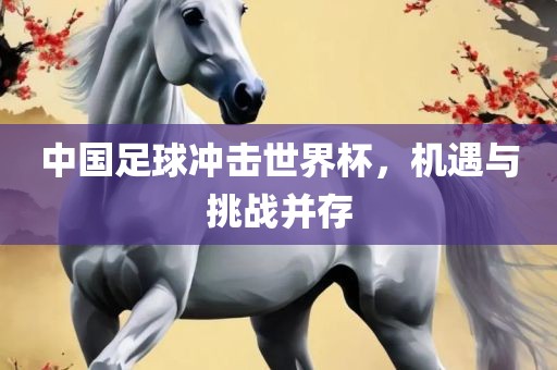 中国足球冲击世界杯，机遇与挑战并存
