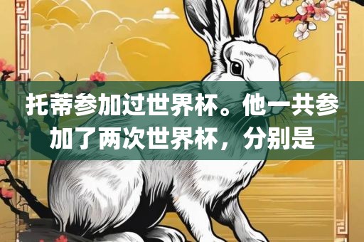 托蒂参加过世界杯。他一共参加了两次世界眉山市正发家政服务有限公司杯，分别是