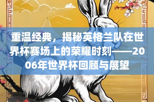 重温经典，揭秘英格兰队在世界杯赛场上的荣耀时刻——2006年世界杯回顾与展望